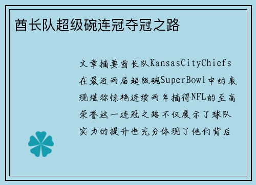酋长队超级碗连冠夺冠之路